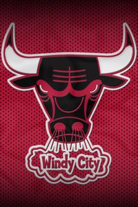 Preview wallpaper chicago bulls, bull, basketball, club, sport