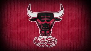 Preview wallpaper chicago bulls, bull, basketball, club, sport