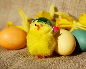 Preview wallpaper chick, eggs, easter