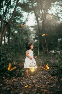 Preview wallpaper child, butterflies, lantern, forest, path