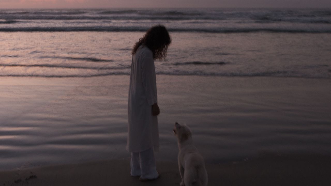 Wallpaper child, dog, pet, friends, beach, sunset