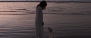 Preview wallpaper child, dog, pet, friends, beach, sunset