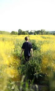 Preview wallpaper child, field, flowers, walk, summer