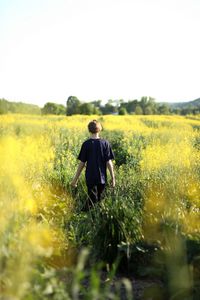 Preview wallpaper child, field, flowers, walk, summer