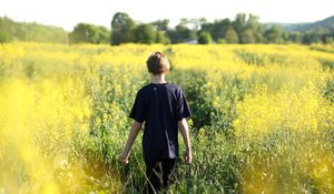 Preview wallpaper child, field, flowers, walk, summer