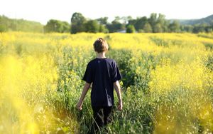 Preview wallpaper child, field, flowers, walk, summer