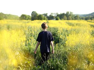 Preview wallpaper child, field, flowers, walk, summer