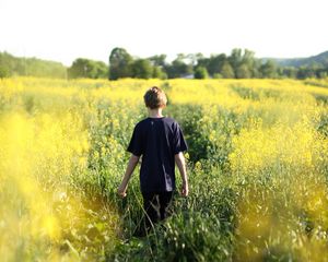 Preview wallpaper child, field, flowers, walk, summer