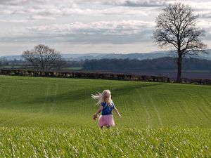 Preview wallpaper child, field, grass, trees