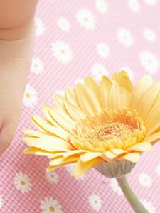 Preview wallpaper child, foot, diapers, flowers