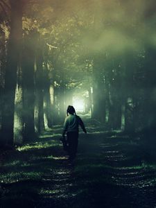 Preview wallpaper child, forest, fog, walk