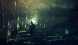 Preview wallpaper child, forest, fog, walk