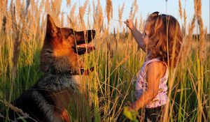 Preview wallpaper child, girl, dog, sheep, grass, play