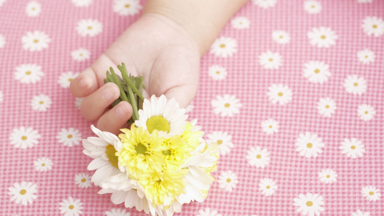 Wallpaper child, hand, flowers, baby