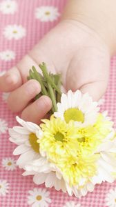 Preview wallpaper child, hand, flowers, baby