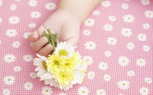 Preview wallpaper child, hand, flowers, baby