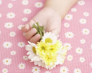 Preview wallpaper child, hand, flowers, baby