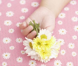 Preview wallpaper child, hand, flowers, baby