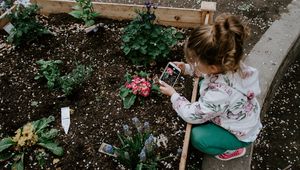 Preview wallpaper child, photographer, girl, flower bed, flowers, interest, hobby