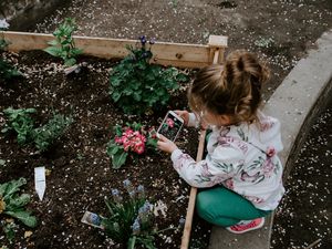 Preview wallpaper child, photographer, girl, flower bed, flowers, interest, hobby