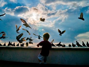 Preview wallpaper child, pigeons, birds, flying, hobby