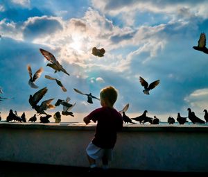 Preview wallpaper child, pigeons, birds, flying, hobby