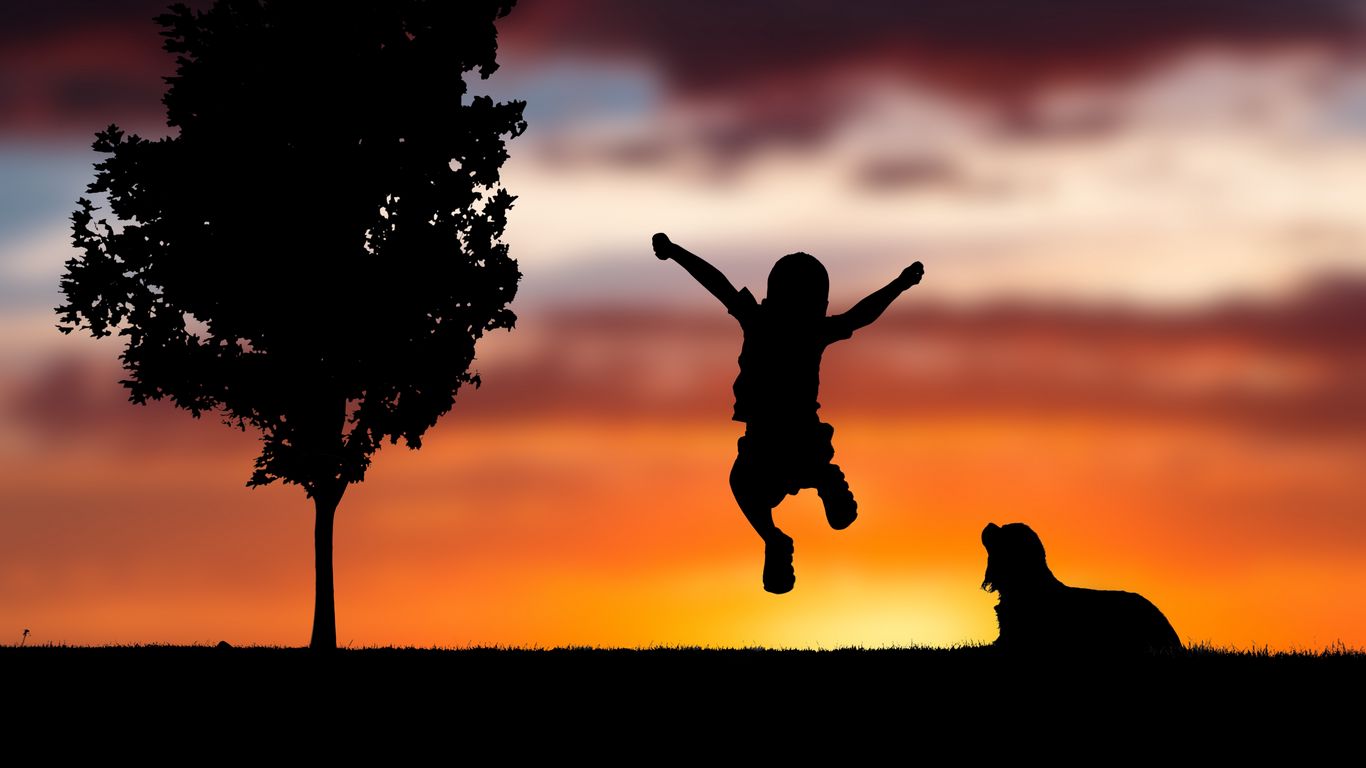 1366x768 Wallpaper child, silhouette, jump, happiness, dog, sunset