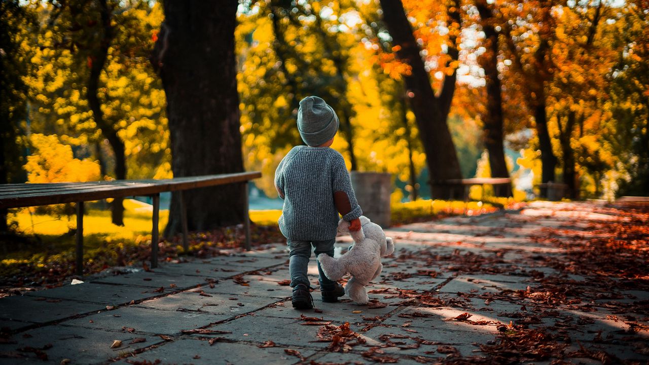 Wallpaper child, teddy bear, autumn, walk