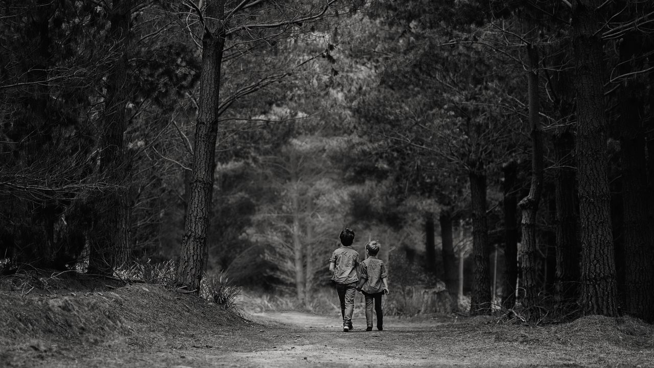 Wallpaper children, forest, friends, walk, bw