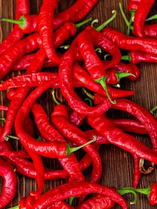 Preview wallpaper chili pepper, pepper, red, hot