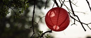 Preview wallpaper chinese lantern, branch, tree