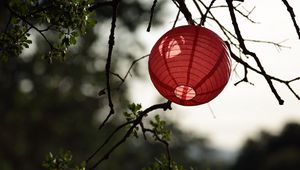 Preview wallpaper chinese lantern, branch, tree