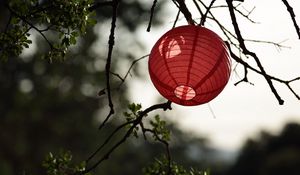 Preview wallpaper chinese lantern, branch, tree