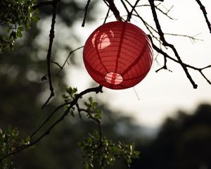 Preview wallpaper chinese lantern, branch, tree