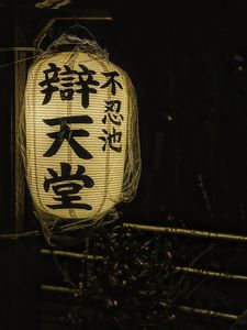 Preview wallpaper chinese lantern, flashlight, light, hieroglyphs, words