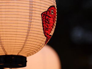 Preview wallpaper chinese lantern, garland, light, decor