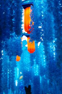 Preview wallpaper chinese lantern, lanterns, flowers, blue