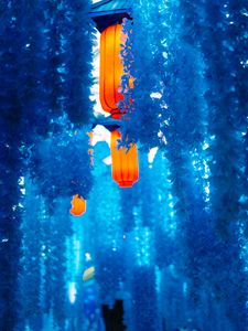 Preview wallpaper chinese lantern, lanterns, flowers, blue