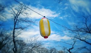 Preview wallpaper chinese lantern, sky, branches