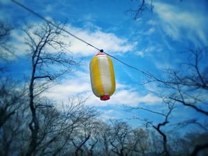 Preview wallpaper chinese lantern, sky, branches