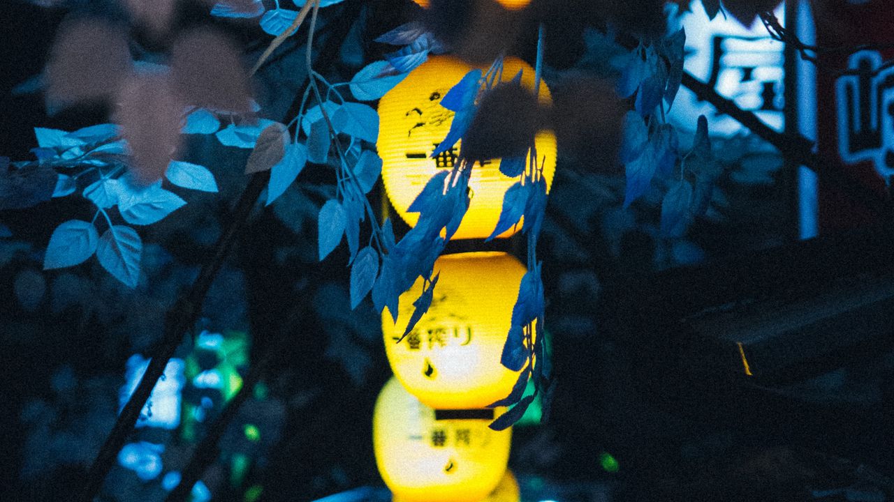 Wallpaper chinese lanterns, branches, decoration, light, glow