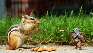 Preview wallpaper chipmunk, nuts, eating, walk, grass, figurine