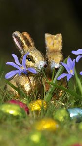 Preview wallpaper chocolate rabbits, easter, eggs, flowers, grass