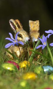 Preview wallpaper chocolate rabbits, easter, eggs, flowers, grass