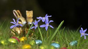 Preview wallpaper chocolate rabbits, easter, eggs, flowers, grass