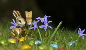 Preview wallpaper chocolate rabbits, easter, eggs, flowers, grass