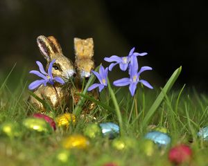 Preview wallpaper chocolate rabbits, easter, eggs, flowers, grass