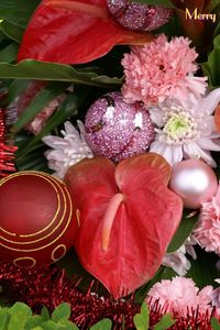 Preview wallpaper christmas, christmas decorations, tinsel, carnations, anthurium, lettering, green