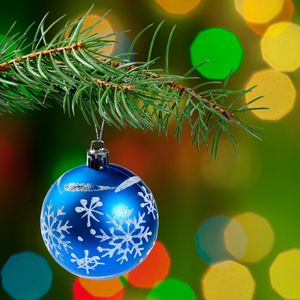 Preview wallpaper christmas decoration, ball, branch, tree, bokeh, new year