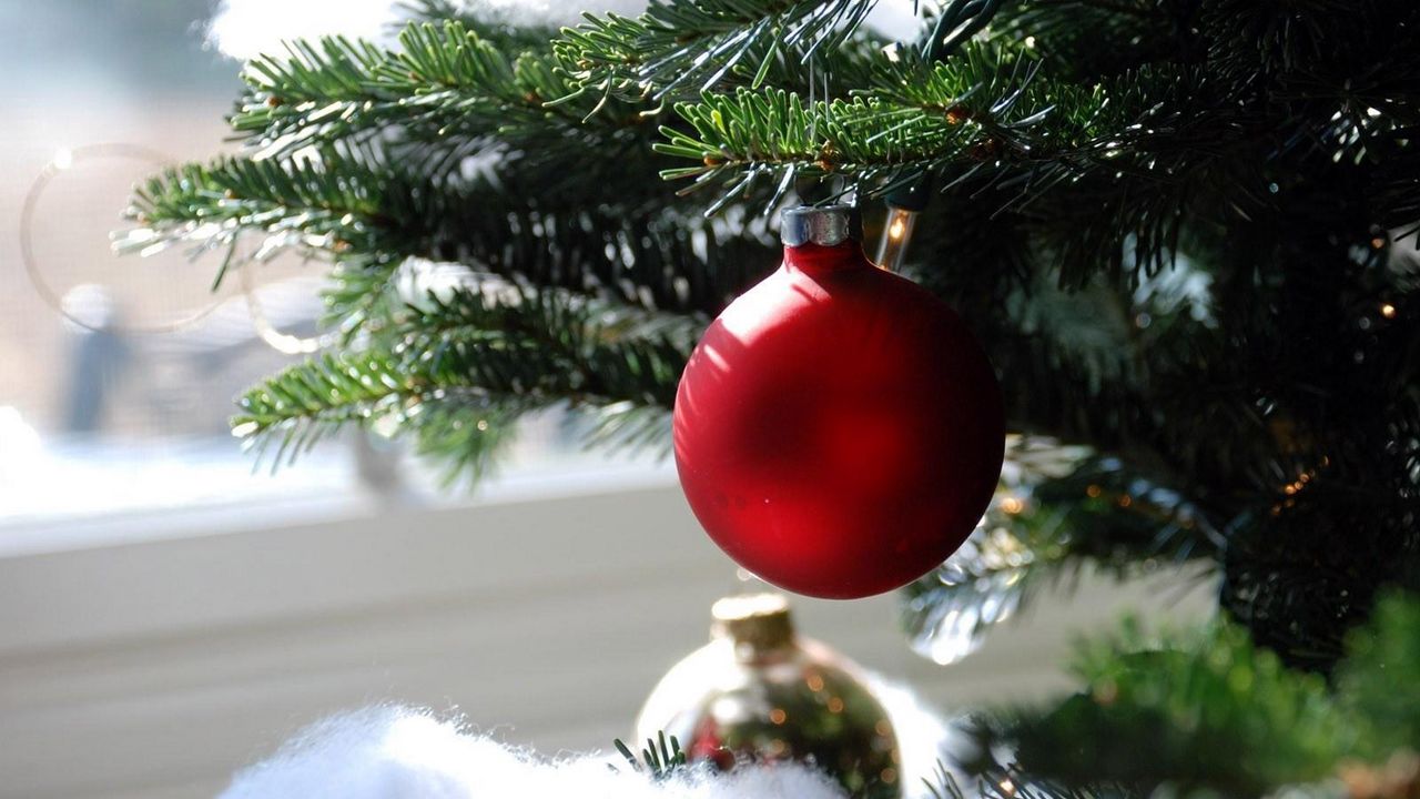 Wallpaper christmas decorations, ball, needle, branch, close-up